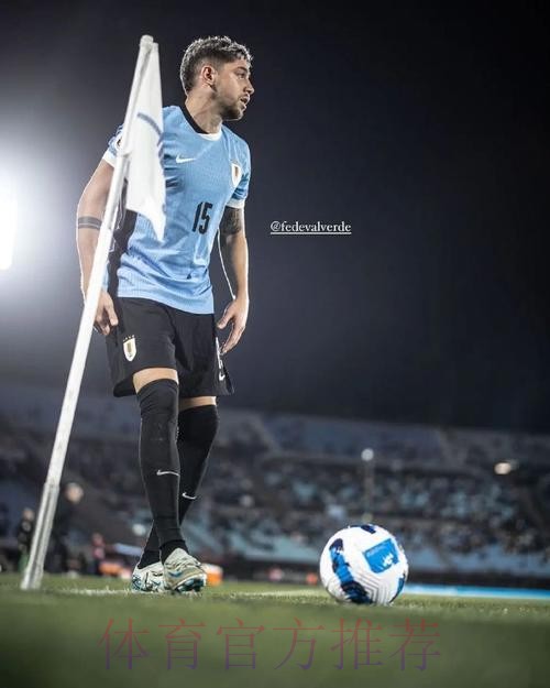 马卡:巴尔韦德因伤不会前往国家队 将留马德里恢复